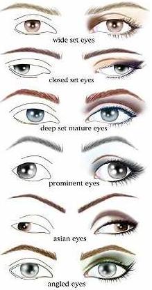 Eyeshadow Application Chart