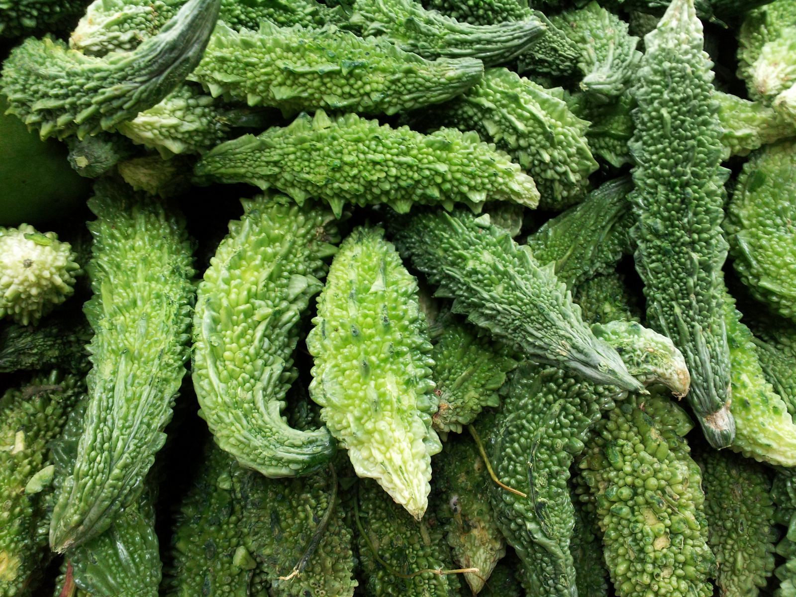 Karela Vegetable In Hindi