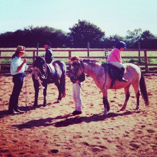The Equine Journey #2