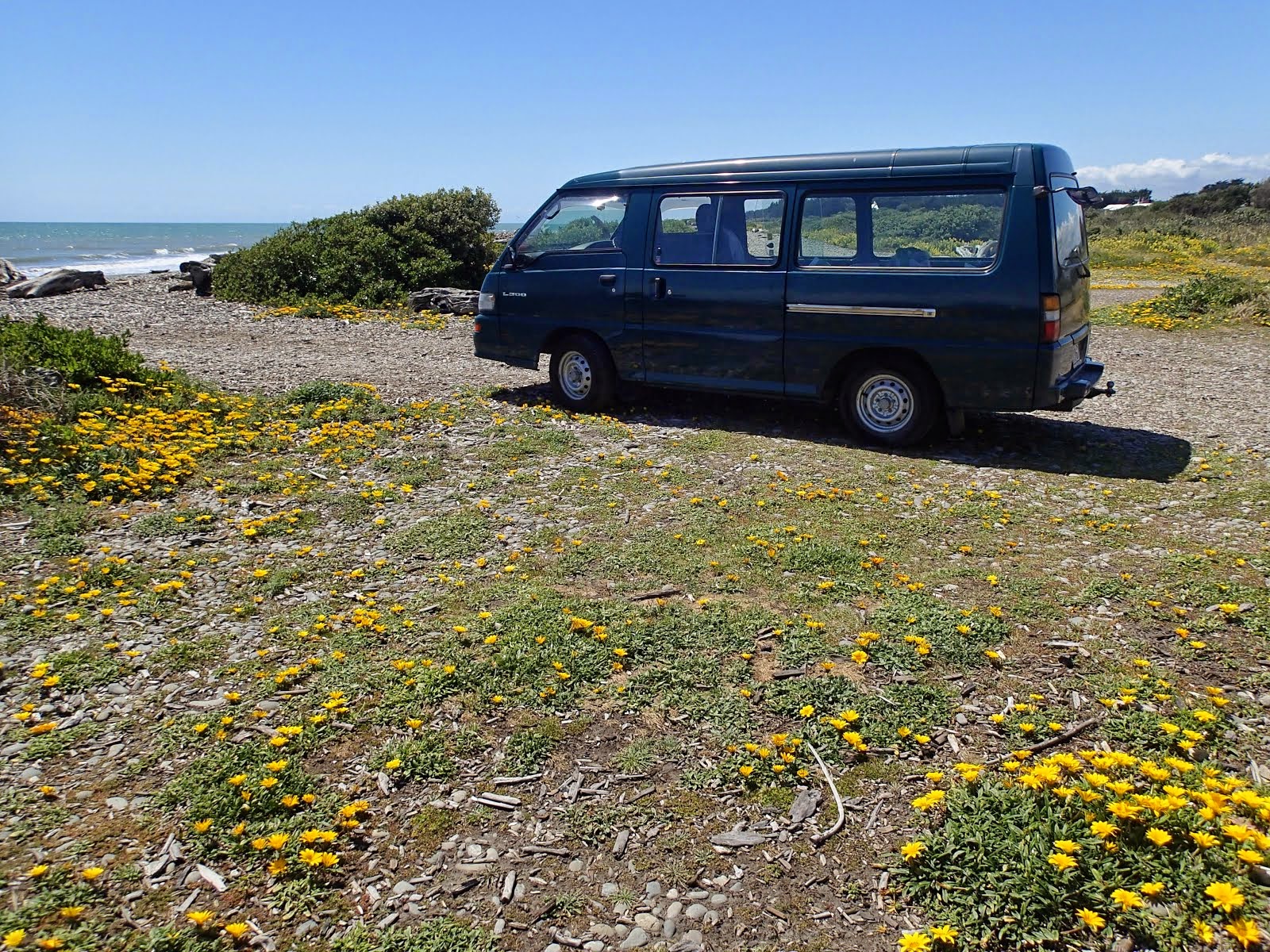Van with daisies, looking north at Te Horo beach