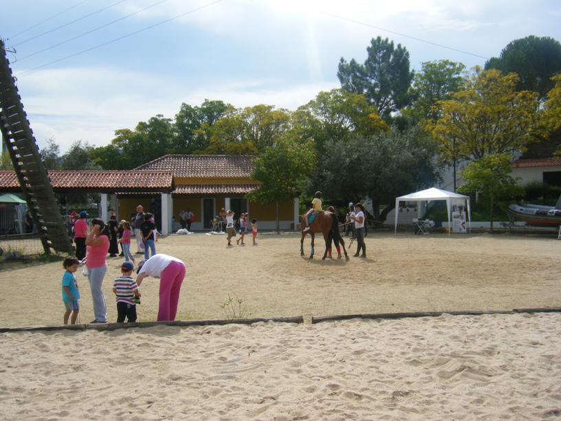 Atividades para familias