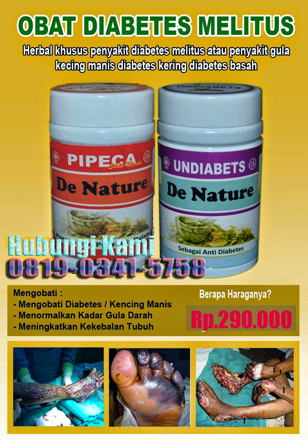 Anti Diabetes Anti Diabetes