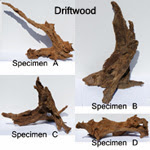 Authentic drift wood for freshwater aquariums, ideal for discus, bettas