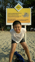 Camayan Beach Resort, The Beach