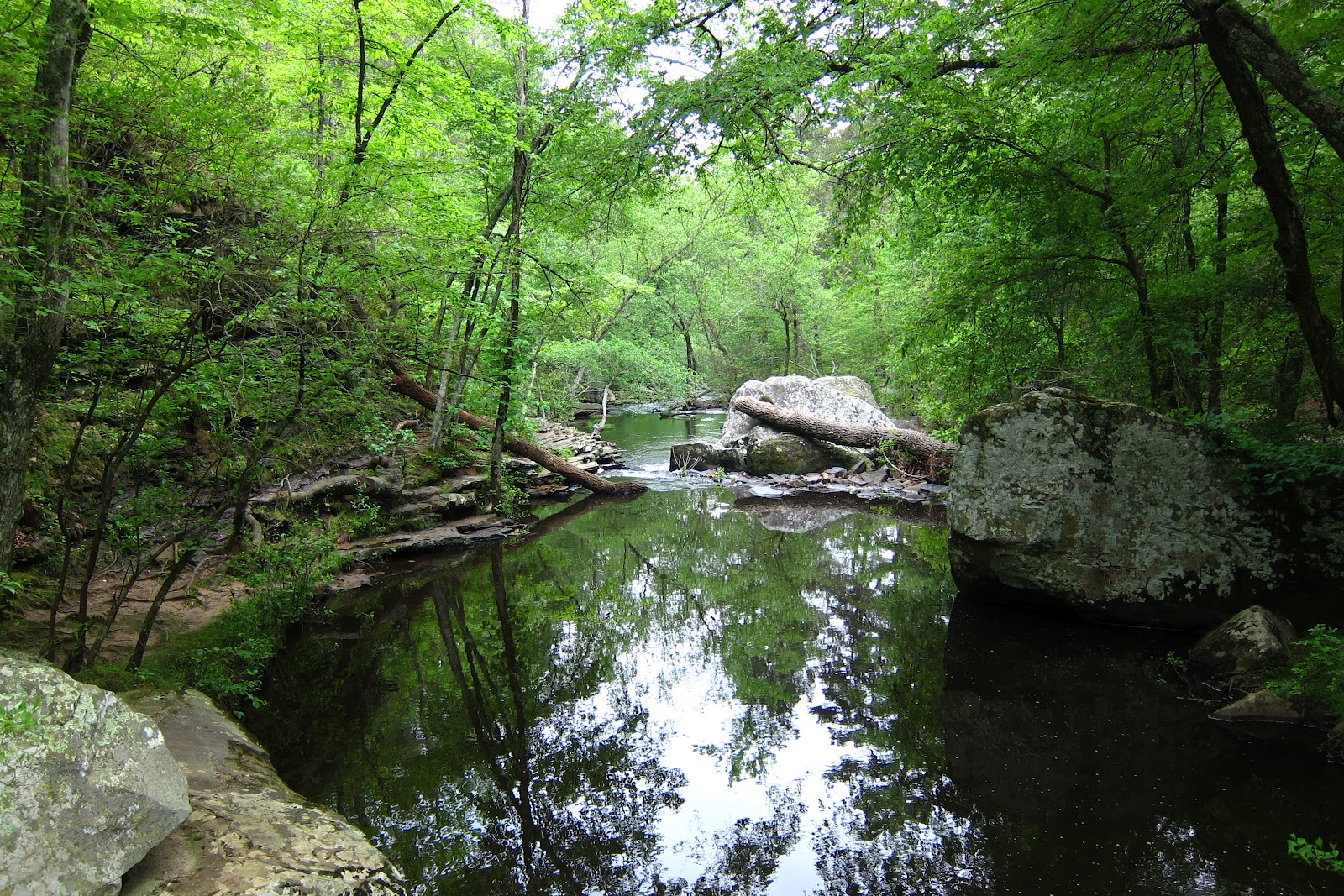 Texana Designs Petit Jean State Park