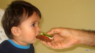 A simple yeast free whole wheat bread great for babies by ng @ Whats for Dinner?