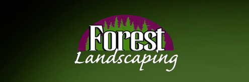 The Blog of Forest Landscaping 