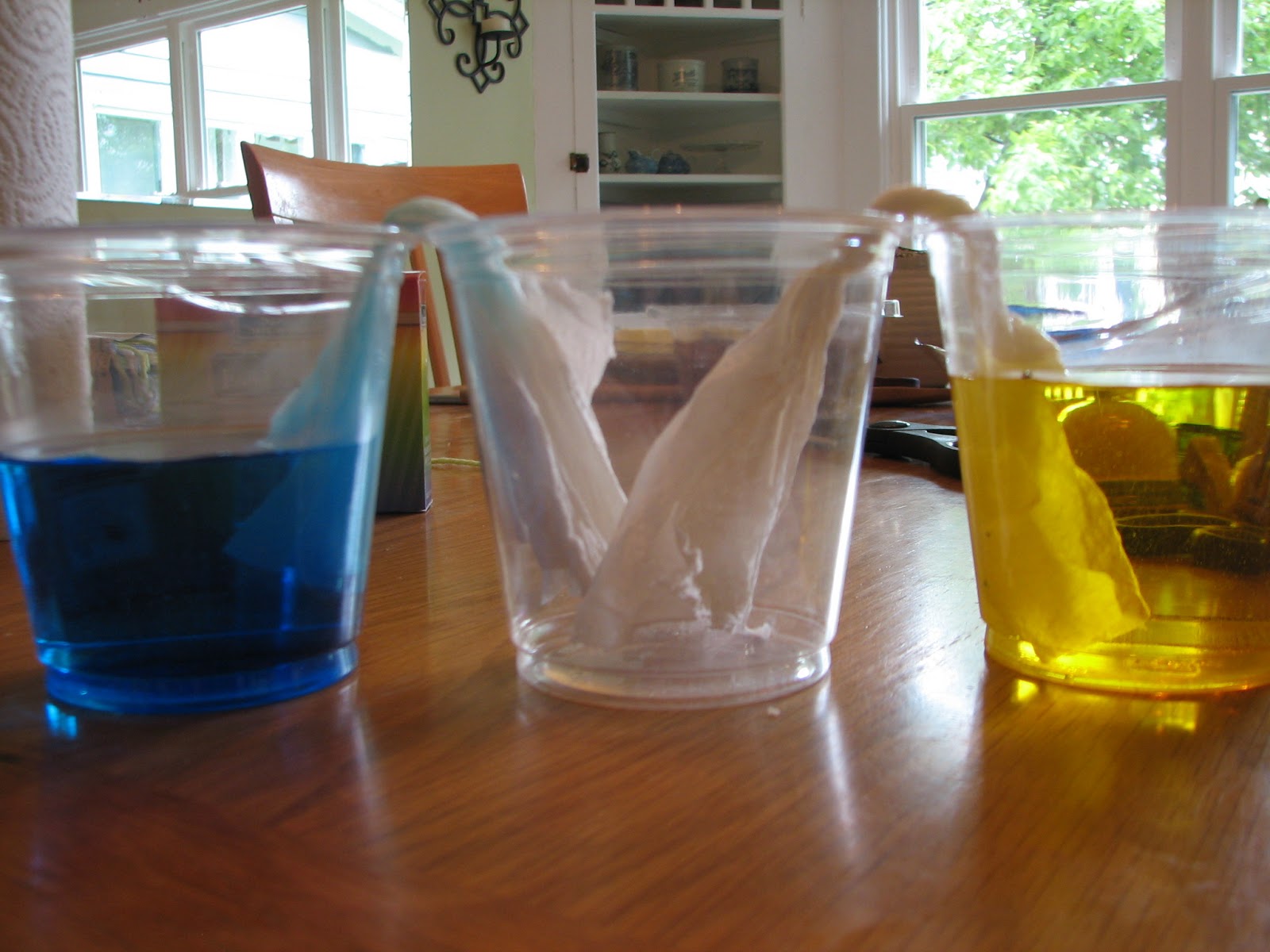 Science Matters Transporting Water and Finding Equilibrium