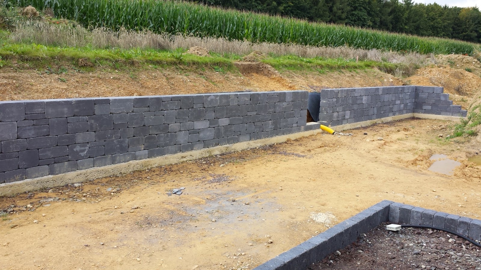 Unsere Mila Mit Gussek Haus Wir Leben Wir Wohnen Und Wir Bauen