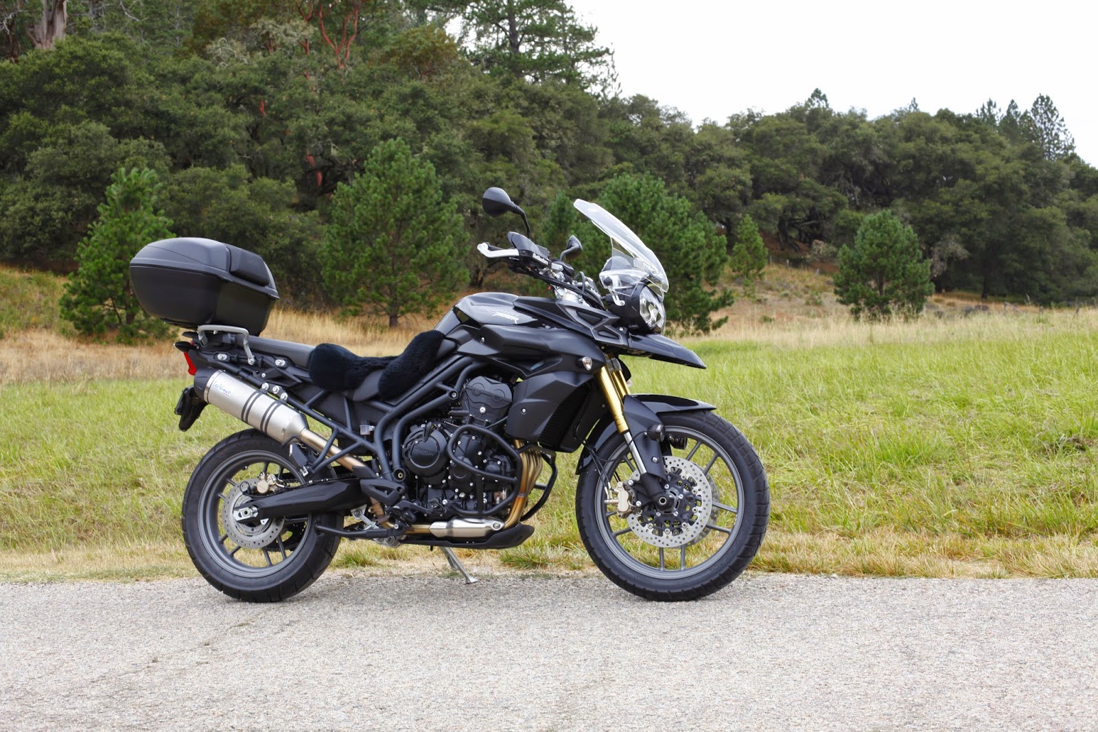 Dynamic Motorcycle Accessories Triumph Tiger 800 & 800XC Luggage Racks