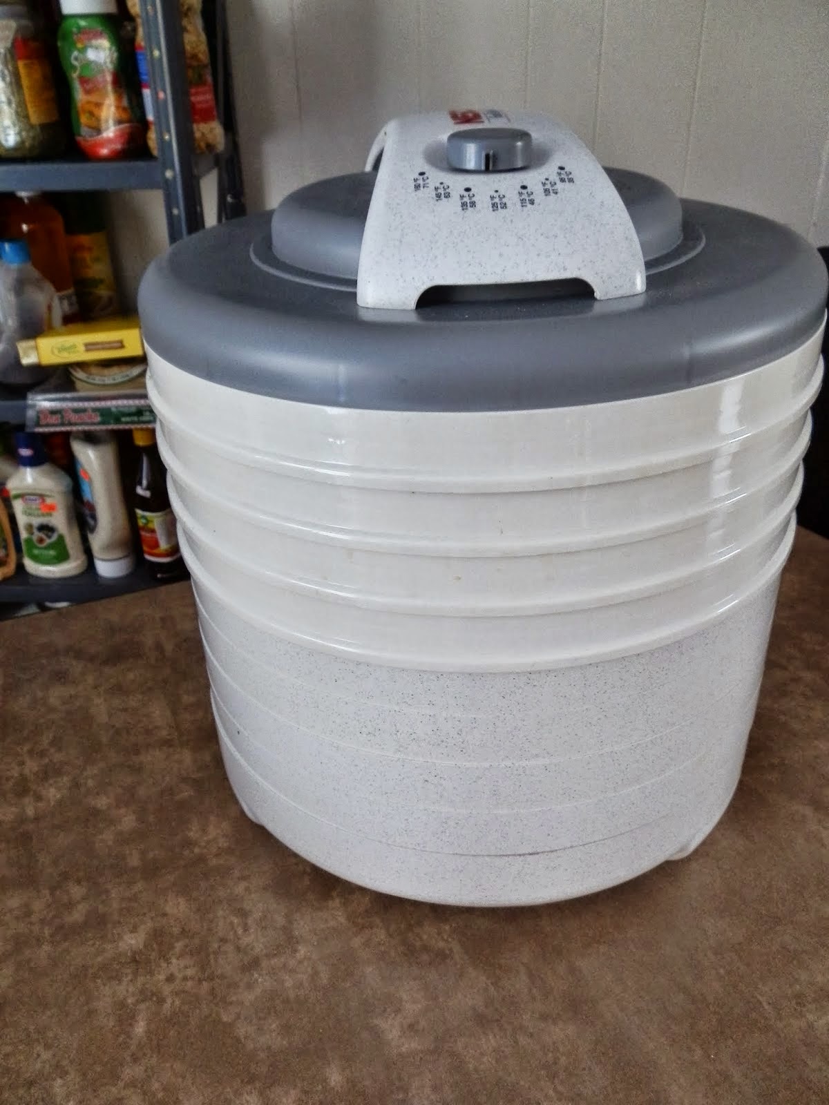 A Life Beyond Money Weird Uses for the Dehydrator