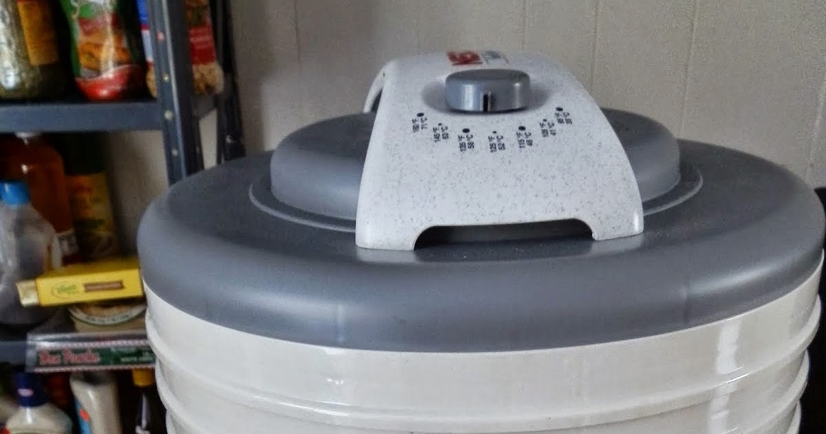 A Life Beyond Money Weird Uses for the Dehydrator