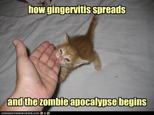 Zombie Kitten Apocalypse