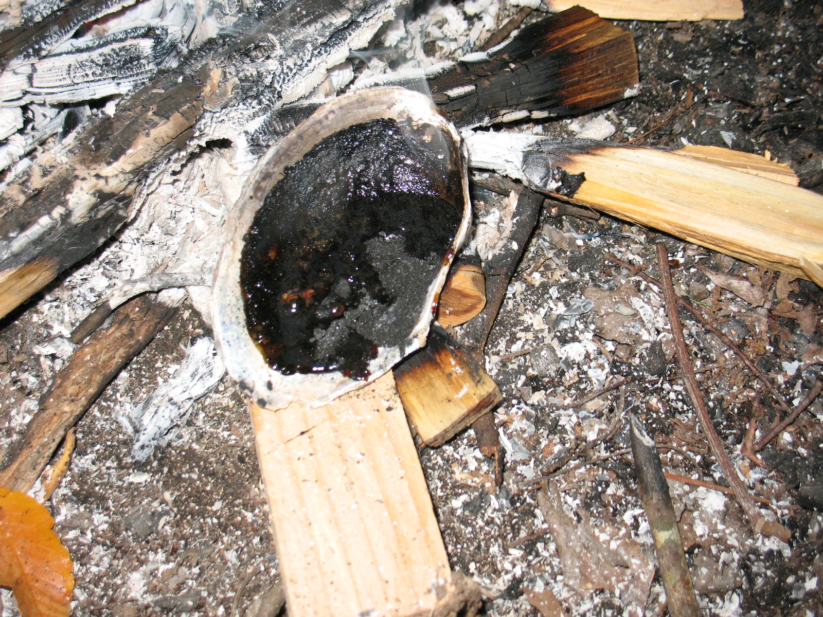 Sensible Survival How to Make Pine Pitch Glue