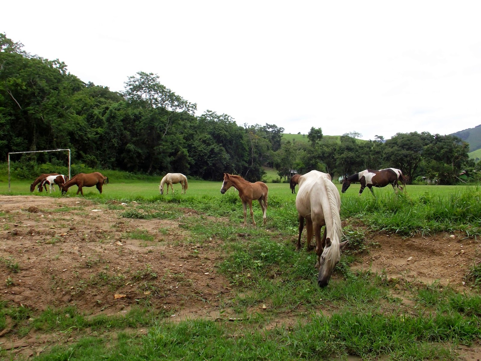 OLHAR DE UMA VIAJANTE BARRA DO TURVO SÃO PAULO BRASIL