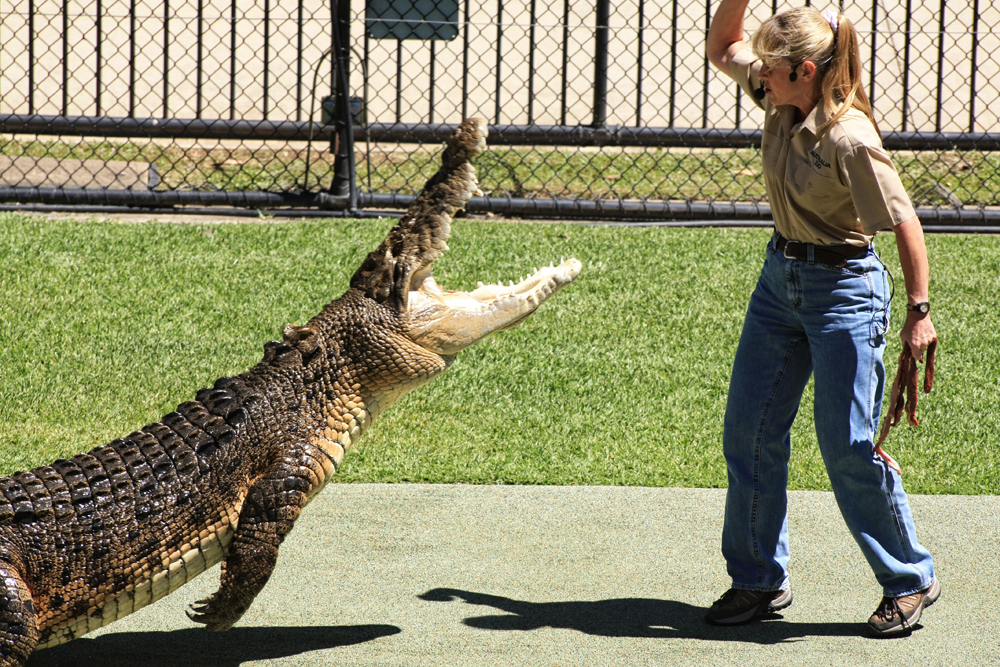Benjamin & Ewa in Australia Australia ZOO Home of the Crocodile Hunter