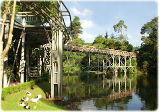 DE VIAJEROS POR CURITIBA - BRASIL 5