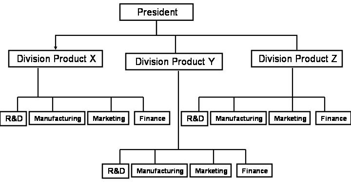 business organizational