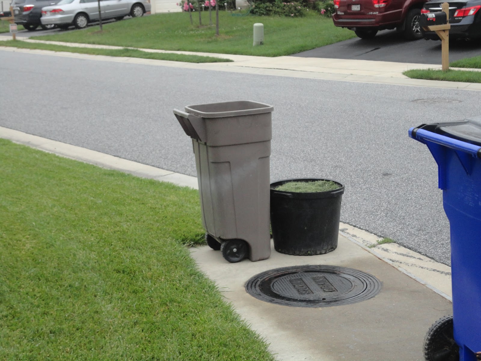 Tales Of Two Cities Another Plastic Bag Eliminated