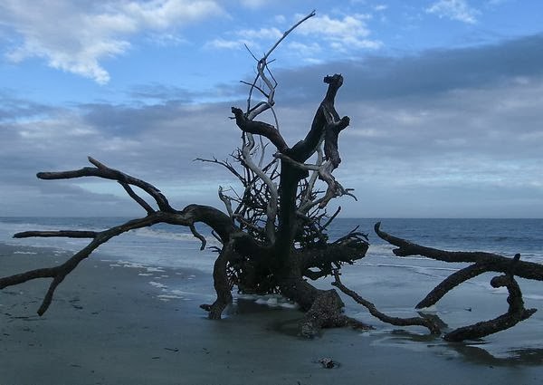 hunting island state park by dear miss mermaid