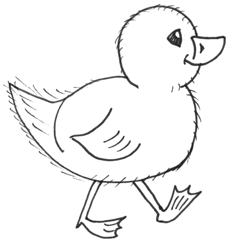 transmissionpress: Baby chicken cute animal coloring sheet for kids