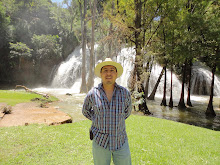 Mi foto