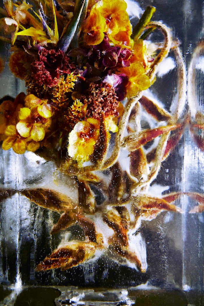 「永遠の美」時を止めた花の芸術