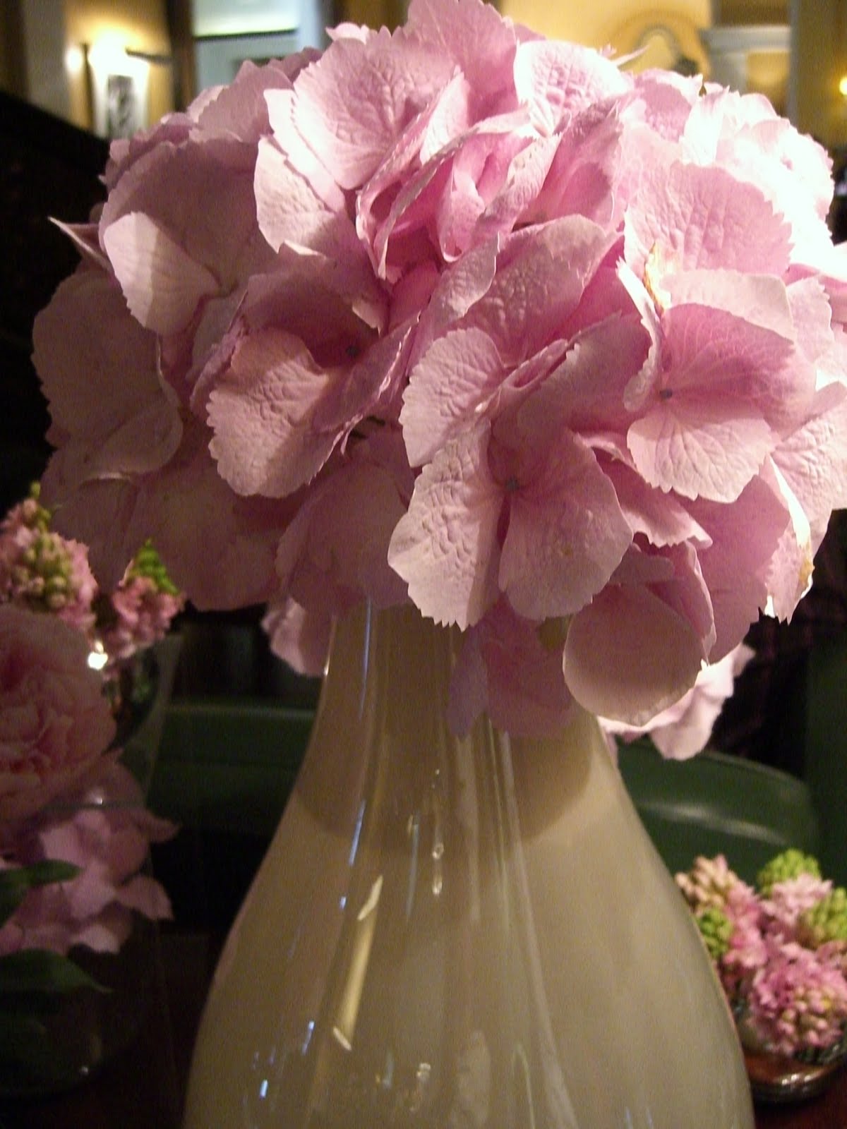 From The Garden Of Zen Gaku Ajisai Hydrangea Macrophylla