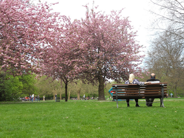 Park in Berlin Wedding