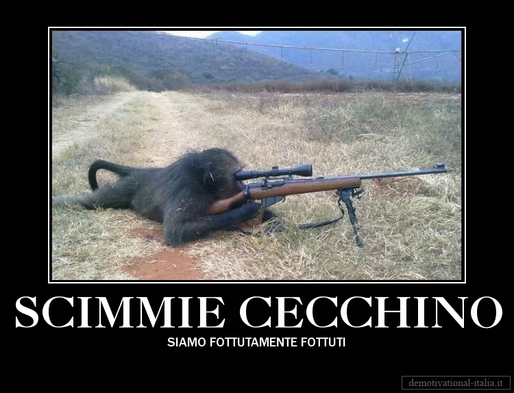 scimmie_divertenti-fail.jpg