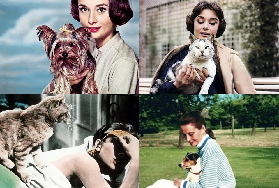 AUDREY HEPBURN Y SU AMOR NATURAL