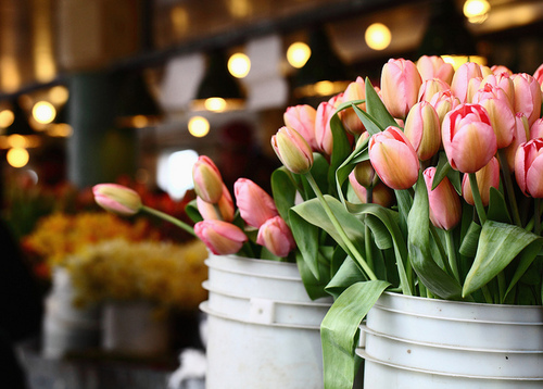 ������ ���� ������ �� ���� ������