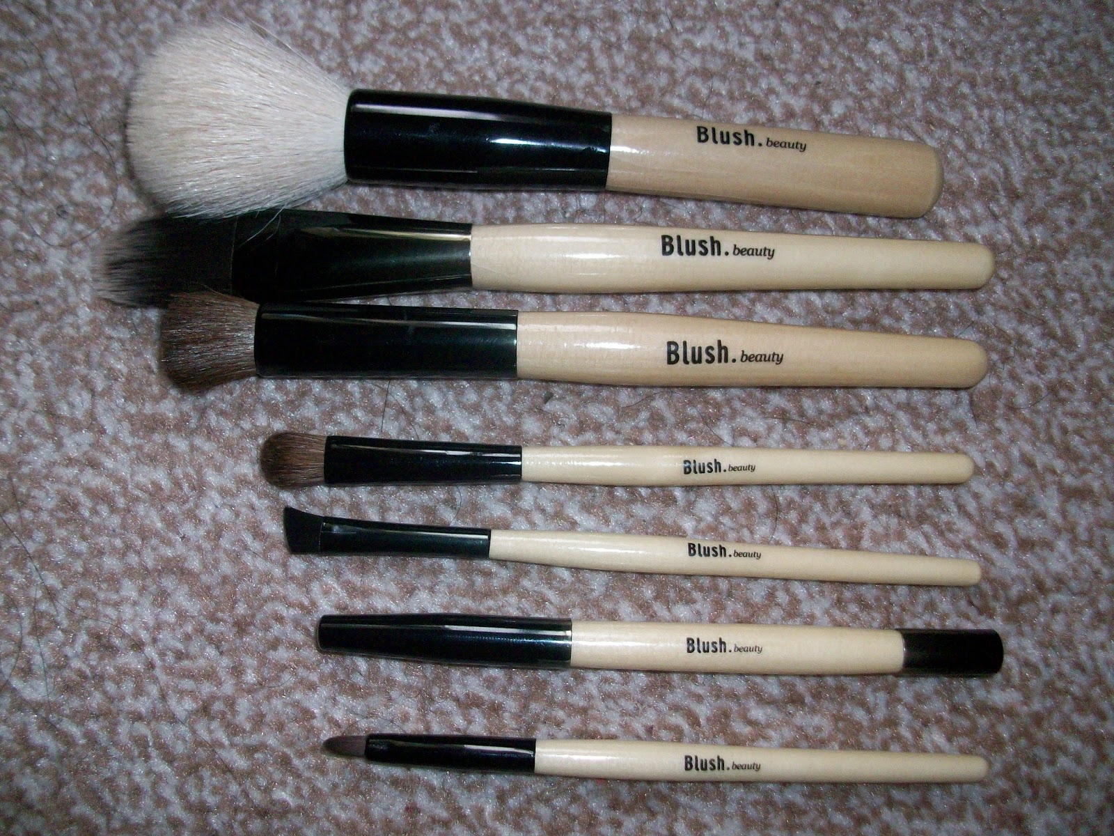 Brush Review Blush Beauty Travel Brush set
