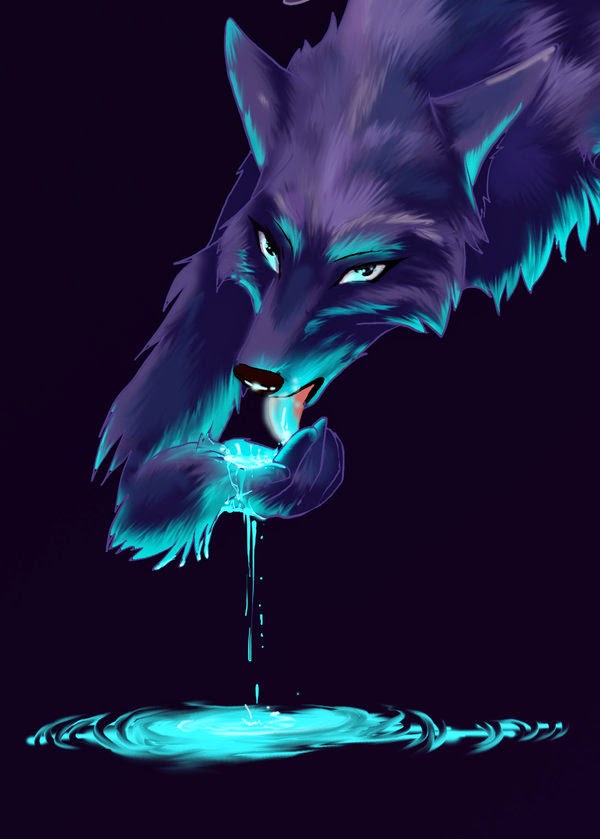 bozkurtlar guzel hd kurt resimleri