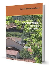 CONDEMIOS, TIERRA DE PINARES