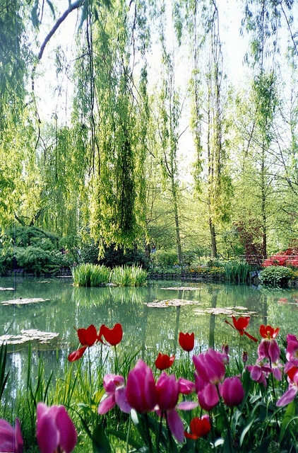 Monet's Garden in France