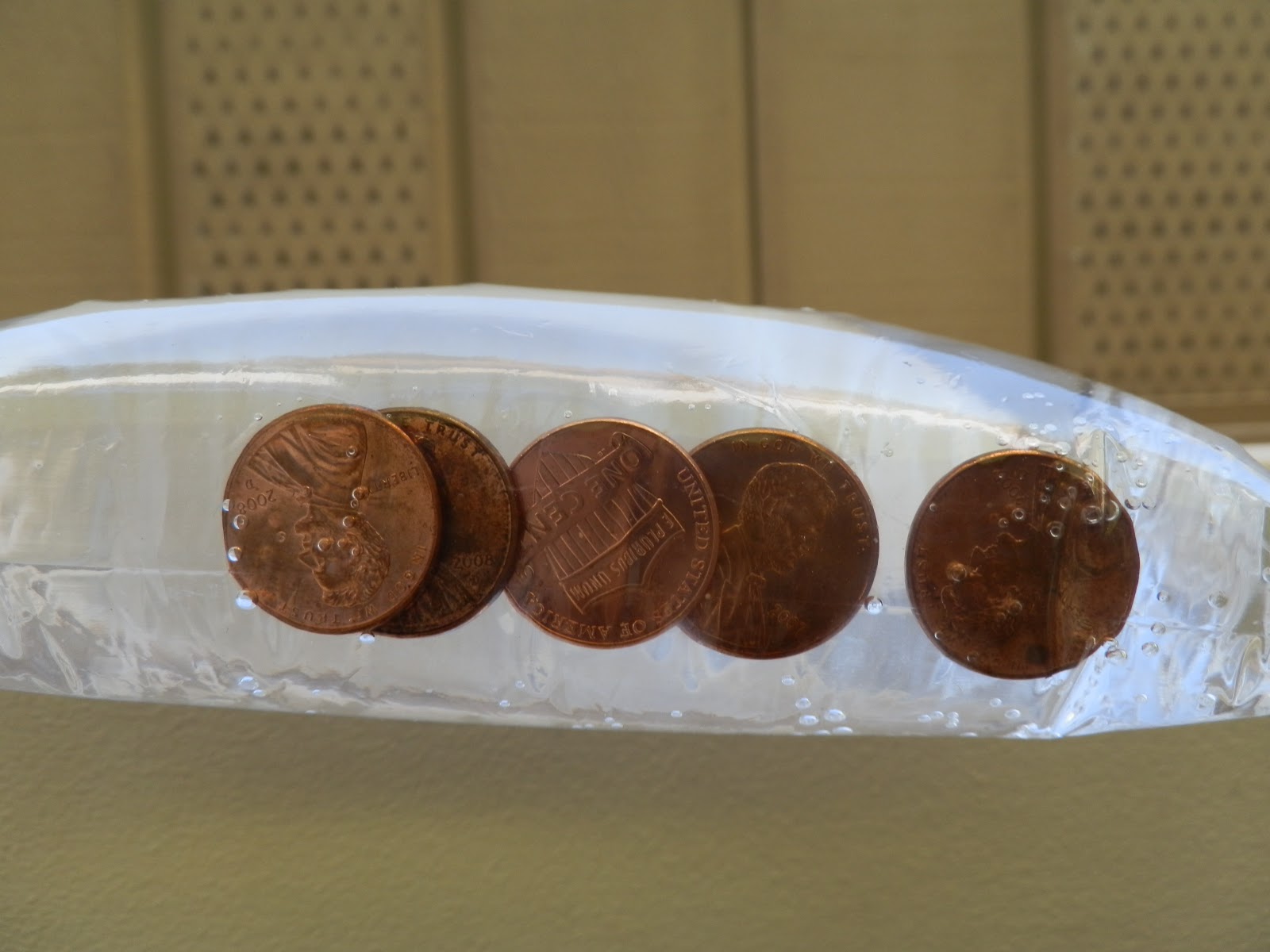 The Gardener's Spot How to Keep Flies OUT