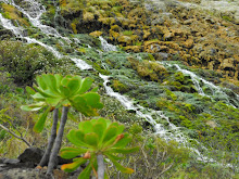 CASCADA DE LOMO MORÍN. LOS SILOS