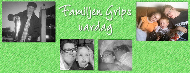 Familjen Grips vardag!