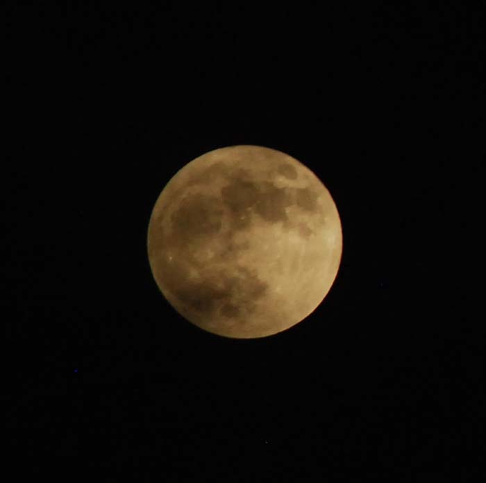 Lew's Other Pics: May 2012