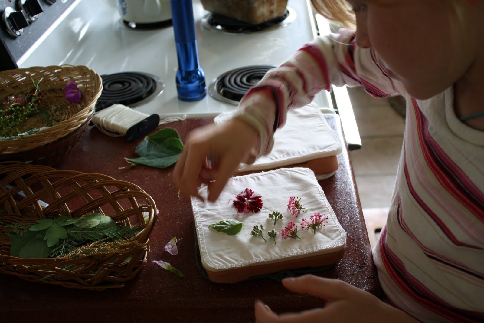 Jennifer Murch Microwave flower press