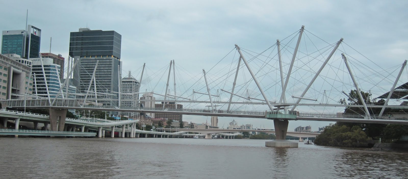 Bridge of the Week Australia's Bridges Kurilpa Bridge across the
