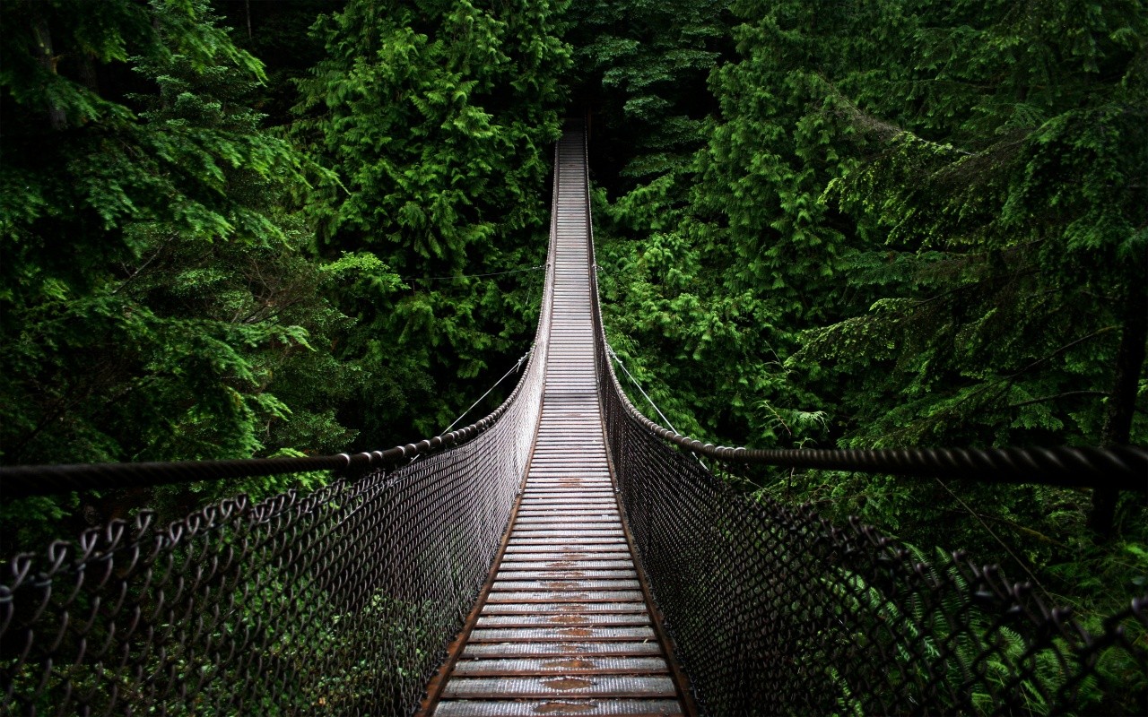 http://2.bp.blogspot.com/-evls22SQ78s/T1eDSn2dbqI/AAAAAAAAV8s/f7BsjIM9bXY/s1600/Nature-With-Full-Trees-by-hqwallpaper.in.jpg