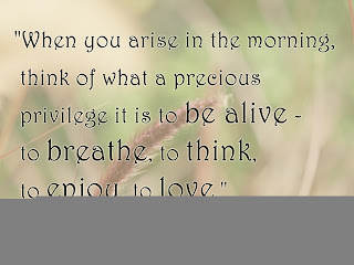 life love and quotes life image quotes and sayings life love and quotes life image quotes and sayings