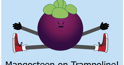mangosteen toffee mangosteen toffee