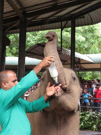 SRI LANKA