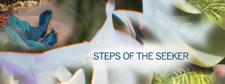 steps of the seeker