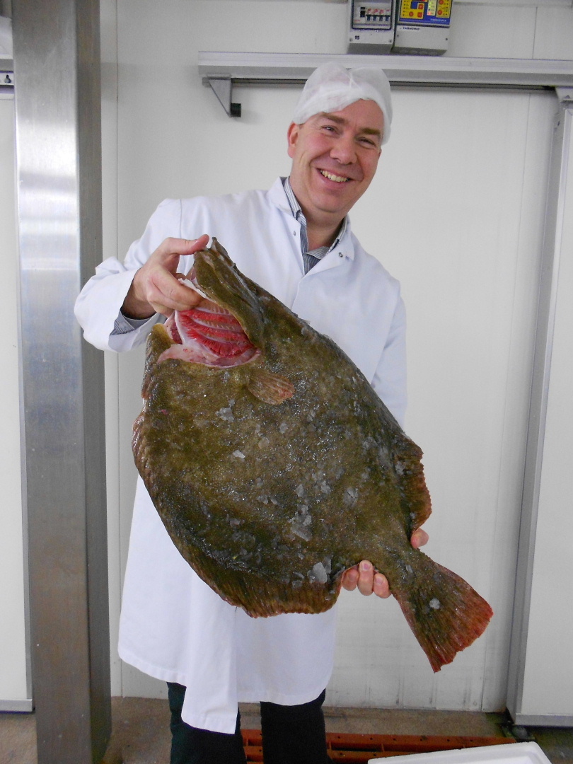 A London Fishmonger Talking Fish & Hastings Day Boat Turbot