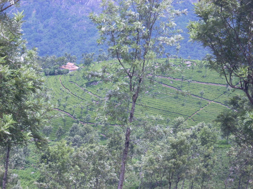 Travel essay in english to mysore picture