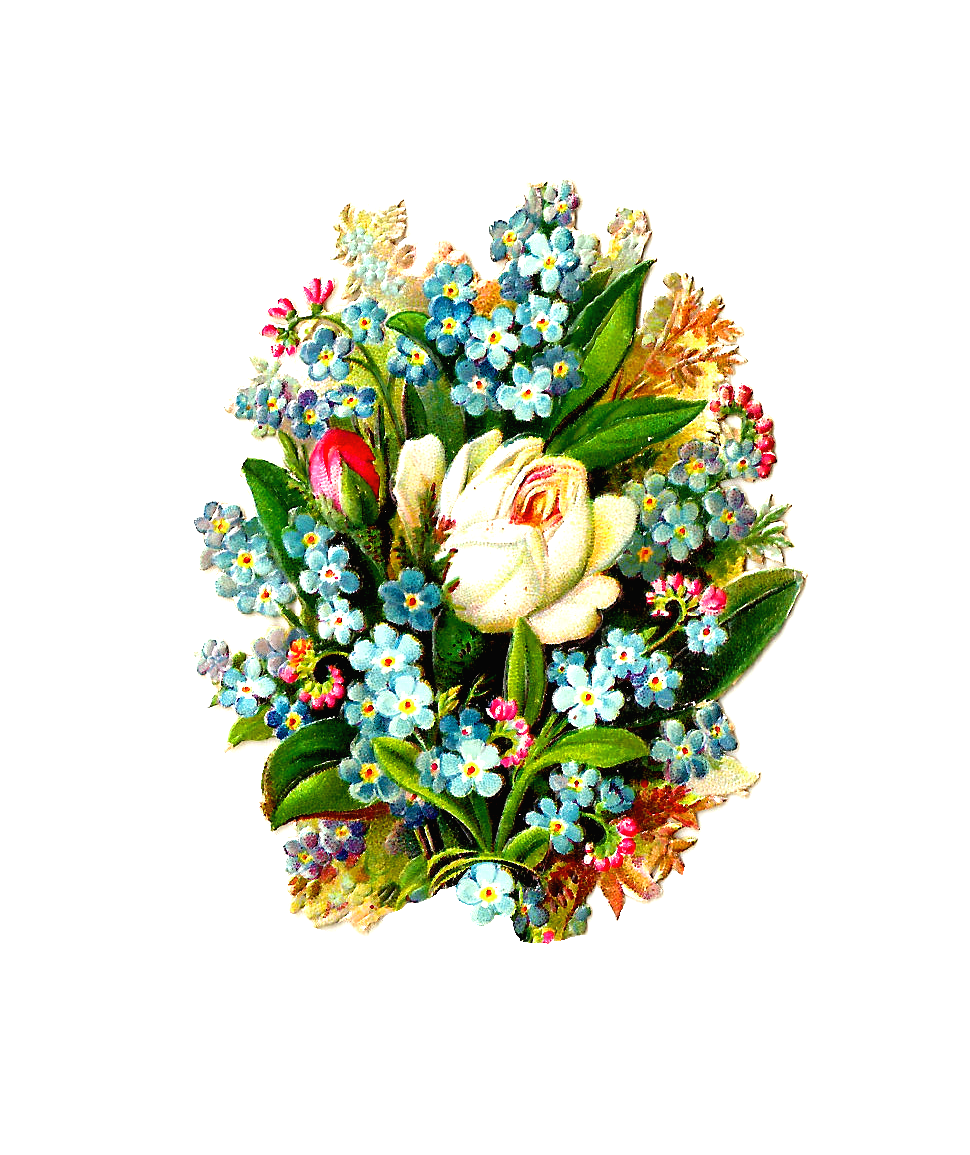 Single White Rose Png Single White Rose Png